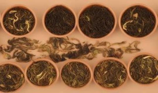 贵州湄潭翠芽茶叶各种款式