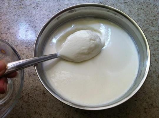 自制酸奶 自制酸奶怎么做