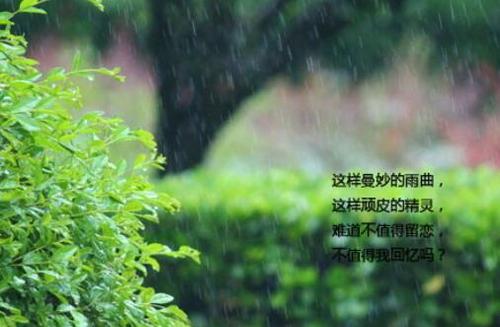 关于描写雨声优美句子大全 关于描写雨声的诗句