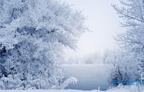 关于形容树上都是雪的诗句合集(精选) 形容树上的雪
