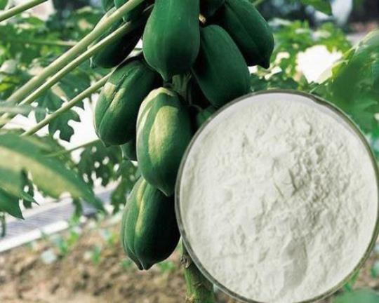木瓜蛋白酶 木瓜蛋白酶的功效和作用