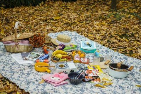 关于形容秋天野餐的诗句合集(通用) 关于形容秋天的诗句