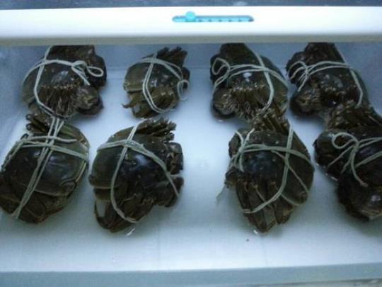 螃蟹蒸熟了放冰箱冷冻后能吃吗
