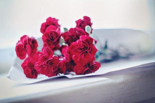关于玫瑰唯美的句子说说心情大全 关于玫瑰唯美句子