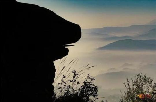 探寻高鲁山的自然之美与历史文化（高鲁山旅游攻略）