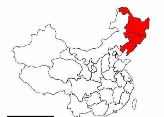 中国四大直辖市分别是？