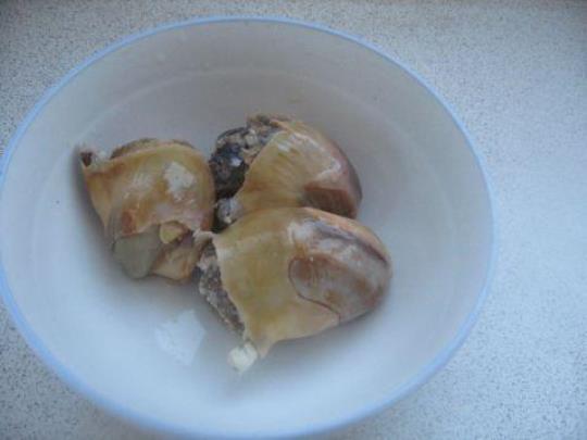 海螺煮几分钟能熟（海螺的烹饪方法和食用方法）