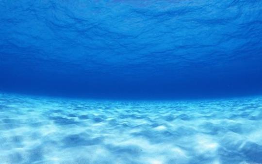 关于描写深海的优美的句子大全 描写深海幽暗的词