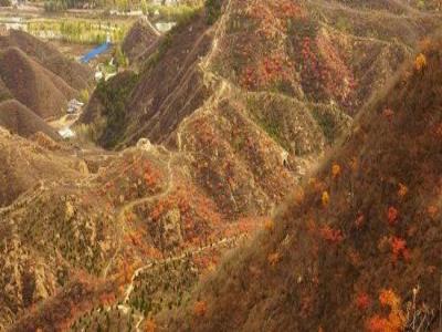 卧虎山