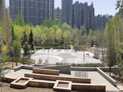 足球公园
