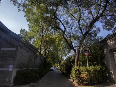 鸦儿胡同