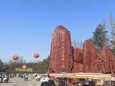 夏津黄河故道森林公园