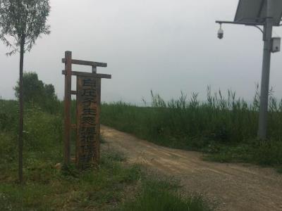 白庄子湿地公园