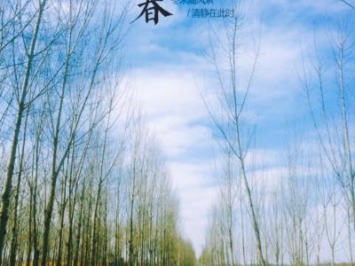 青龙湾河