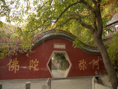 天成寺