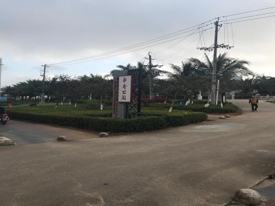书香公园