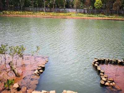 美舍河群上湿地公园