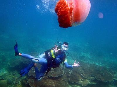 石梅湾加井岛潜水基地