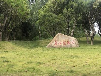 廉江植物园