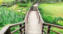 白沙公园4