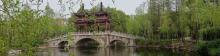 古华公园8