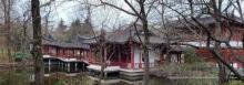 古华公园13
