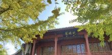 古华公园17