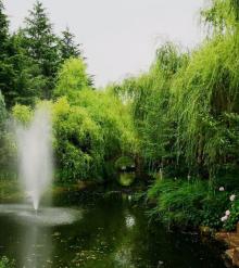 古华公园30