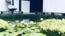 陶家宅4