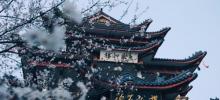 鼋头渚33