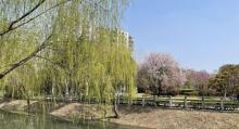 金鹤公园5