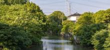 横沔老街5