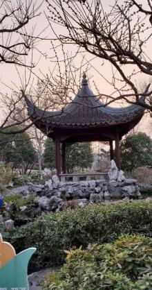 古藤园25