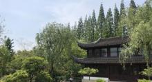 古藤园37