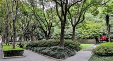 共和公园11