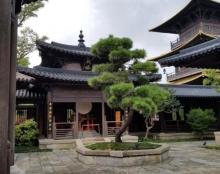 知也禅寺13