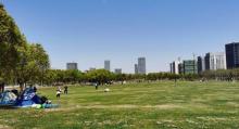 紫气东来公园8