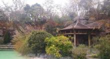 矿坑公园8