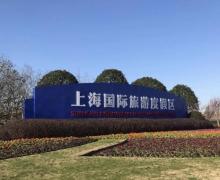 上海国际旅游度假区maxus大通广场3