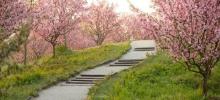 花开海上生态园26