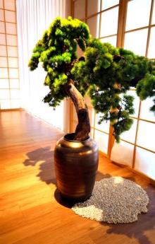 涟泉小町(绚荟城店)3