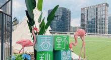 春野秋梦・长风大悦城露营地4