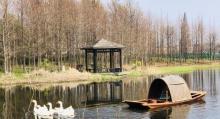 长兴岛湿地公园13