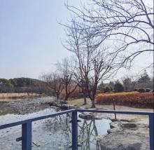 黎安公园12