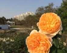 奉浦四季生态园20