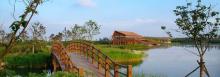 东滩湿地公园9