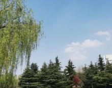 东滩湿地公园34
