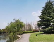 东滩湿地公园35