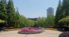 上南公园2