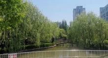 上南公园3
